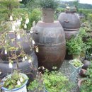 서대산농장 이미지