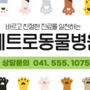 페트로 동물병원 이미지