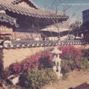 김명옥숙박