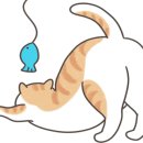 편하개 놀다가냥 이미지