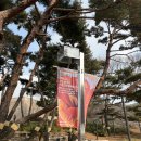 신진전위 | 과천 국립현대미술관 전시, 한국근현대미술2