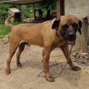 선후농장 이미지