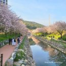 해수천1호 이미지