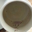 훗디저트카페 | 지축동 디저트, 샌드위치 카페 | 훗뚜루맛뚜루 방문 후기