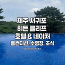 히든호텔 | 제주 서귀포 수영장 있는 히든 클리프 호텔 &amp; 네이처 조금 실망한 후기