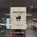 이든태권도 | 경주 아이랑 가볼만한 곳 코스믹 리조트 테마파크 할인 및 관람정보