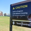 세인트 골프존 이미지