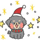 지젤네일 이미지