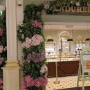 빌라지오 이미지