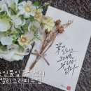 풀잎문화센터 춘천지부 네이버블로그
