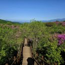 9 | 67/100 Playing with지리산바래봉