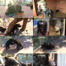 승자농장 이미지