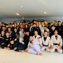 주짓수복싱MMA러쉬클랜