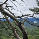 서부산악회 제436차 춘천 오봉산 BY100산 산행(2025.09.07) 이미지