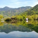 언니네집 이미지