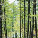 지리산길