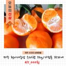 현아네 농장 네이버블로그