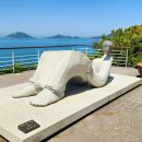 까멜리아 이미지