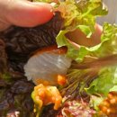 기장바다회집 | 기장 횟집 추천 바다뷰 초원횟집 모듬회 후기