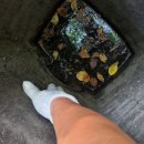 도봉-도봉-2501 이미지