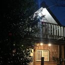 통나무파크 | [제주 숙소] 애월 동화 속 같은 숙소 ‘통나무파크’ 내돈내산 후기