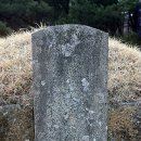 금성서적 이미지