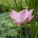 오리오 펜션 이미지