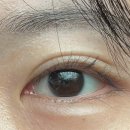 (주)미앤미 | 창원 감계 속눈썹펌 :: “미앤미뷰티” 수분영양 래쉬펌으로 아침준비시간 줄이기🖤