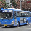 대성운수 이미지