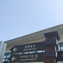 군포 철쭉 동산 이미지