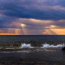 나무안에서 이미지