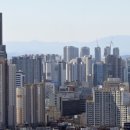 동대구로 이미지