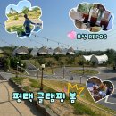 오산 자전거 도로 | [일상블로그]-평택 글램핑 봄 &amp; 오산 REPOS 릇포 카페 (wiht. 나만의 피앙세 웅니들💖)