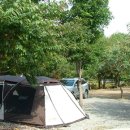 리스캐빈 이미지