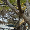 예술의전당 옆 광장 이미지