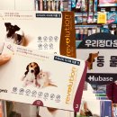 우리정다운약국 네이버블로그