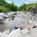 가평금잔디 이미지