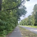 평택대학교 정문 자전거 보관대 옆 | 베를린 DAY 5 (토이펠츠부르크, 빌머스도르프 야외 수영장, 서울관)