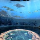 고생대자연박물관 이미지