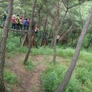 산막이옛길 이미지