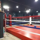 강릉복싱체육관 이미지