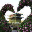 함평센터-13 이미지