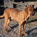 현동농장 이미지