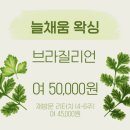 늘채움2 이미지