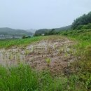 두산2리경로당 이미지