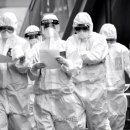 상록수로 44 이미지