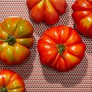 EL healthcare 이미지