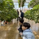 경희대국가대표태권도2관 | {새솔동 태권도} 국가대표 청룡 대부도 딸기농장 체험 및 점핑고 키즈카페 !