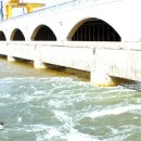 그린발전소 이미지