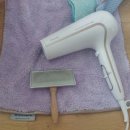 누벨르 펫 이미지